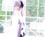 [Cosplay][SugarMyuku しゅがー＊みゅ] Miyu Amathuka 天使みゅ - UNICORN