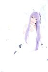 [Cosplay][SugarMyuku しゅがー＊みゅ] Miyu Amathuka 天使みゅ - UNICORN