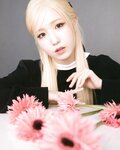 [Photobook] 2024.01.25 本田仁美（AKB48）1st PHOTO BOOK 明日の向こう側