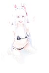 [Cosplay][SugarMyuku しゅがー＊みゅ] Miyu Amathuka 天使みゅ - Vampire Kiss
