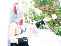 [Cosplay][SugarMyuku しゅがー＊みゅ] Miyu Amathuka 天使みゅ - Vampire Kiss