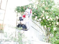 [Cosplay][SugarMyuku しゅがー＊みゅ] Miyu Amathuka 天使みゅ - Vampire Kiss