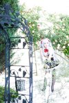 [Cosplay][SugarMyuku しゅがー＊みゅ] Miyu Amathuka 天使みゅ - Vampire Kiss