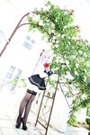[Cosplay][SugarMyuku しゅがー＊みゅ] Miyu Amathuka 天使みゅ - Vampire Kiss