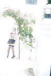 [Cosplay][SugarMyuku しゅがー＊みゅ] Miyu Amathuka 天使みゅ - Vampire Kiss