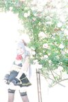 [Cosplay][SugarMyuku しゅがー＊みゅ] Miyu Amathuka 天使みゅ - Vampire Kiss