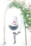 [Cosplay][SugarMyuku しゅがー＊みゅ] Miyu Amathuka 天使みゅ - Vampire Kiss