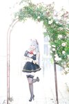[Cosplay][SugarMyuku しゅがー＊みゅ] Miyu Amathuka 天使みゅ - Vampire Kiss
