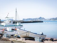 [Photobook] 太陽とひまわり 沙月恵奈 ヌード写真集