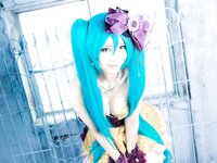 [Cosplay][Mikehouse] Mike ミケ - A whole piece 渾身の一枚