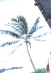 [Photobook] 佐藤寛子 - H2O