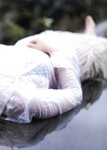 [Photobook] 佐藤寛子 - 情熱 (見開連結済)
