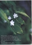 [Photobook] 仲根かすみ - sabra別冊  -Quietdays- クワイエット・デイズ (2005.08.28)