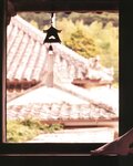 [Photobook] 原史奈 - love story