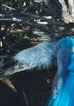 [Photobook] 2024.02.14 デジタル原色美女図鑑 モモコグミカンパニー 濁りながらも、透き通っている