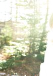 [Photobook] 2024.02.14 デジタル原色美女図鑑 モモコグミカンパニー 濁りながらも、透き通っている