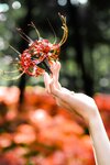[Cosplay] Ely - Red Higanbana 殷紅彼岸