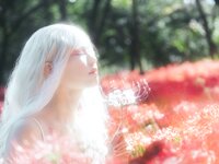 [Cosplay] Ely - White Spider Lily 白瓷彼岸