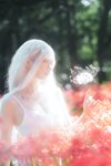 [Cosplay] Ely - White Spider Lily 白瓷彼岸