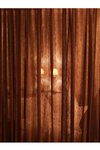 [Photobook] 水谷せな ヘアヌード写真集「Nude Artist」