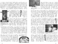 [Weekly Playboy] 2024 No.10 (DJ SODA 松島かのん 桜木心菜 高鶴桃羽 入来茉里 池田レイラ 山崎真実 他)