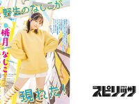 [Big Comic Spirits] 2024 No.12 (桃月なしこ)
