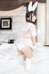 P223443