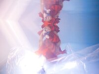 [Cosplay][+milk+crown+] Kain かいん - Antique - Original Doll