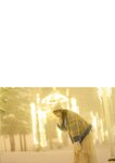 [Photobook] 2024.02.08 【デジタル限定 YJ PHOTO BOOK】十味（#2i2）写真集「宿雪」