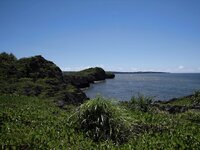 [Photobook] 緒方咲 写真集 咲ちぃの長い夏休み saki's long vacation (Wunder Publishing House)