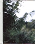 [Photobook] 桜朱音 - あかね