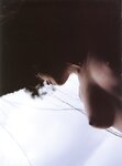 [Photobook] 桜朱音 - あかね