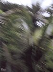 [Photobook] 桜朱音 - あかね