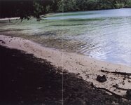 [Photobook] 桜朱音 - あかね