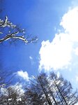 [Photobook] 沢尻エリカ - erika