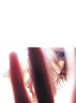 [Photobook] 沢尻エリカ - erika