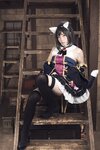 [Cosplay] Mami Hoshino 星乃まみ - Kyaru