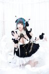 [Cosplay] Tomoyo酱 碧蓝航线 柴郡