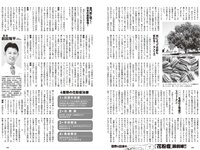 [Weekly Playboy] 2024 No.11 (天羽希純 宇咲 水湊みお 尾木波菜 田口華 MoeMi 他)