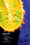 [Photobook] 眞鍋かをり - kawori