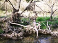 [Photobook] 柊木楓 Kaede Hiiragi 写真集 オオカミの素顔 (alarm)