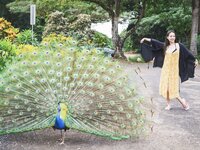 [Photobook] 桝田幸希 南の海で抱きしめて 週刊ポストデジタル写真集[82pics]