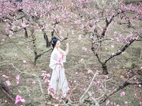[Cosplay] 年年 - 三月榕 [51P-172MB]