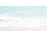 [Photobook] 三橋くん 写真集 夕映えに咲く花 (wunder publishing house)