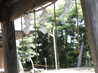 [Photobook] 田川えな 撮られたがる女 週刊ポストデジタル写真集