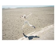 [Photobook] 大河もも 日常写真集 ＃もも日常 (wunder publishing house)