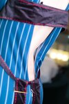 [Cosplay][Nude Sheep] Mitsuki Yanase 柳瀬美月- Hinageshi