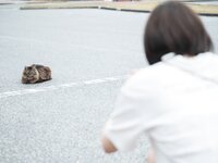 [Photobook] 天川星夏 写真集 みつめてほしい (wunder publishing house)