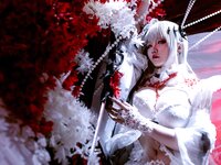 [Cosplay] 星之迟迟 无期迷途可可莉克