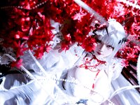 [Cosplay] 星之迟迟 无期迷途可可莉克